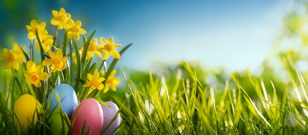 csm_iStock-1137469666-kleiner_32d696a4b7.jpg