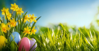 csm_iStock-1137469666-kleiner_32d696a4b7.jpg